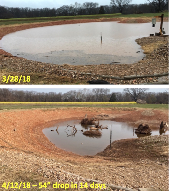 Attached picture Pond drop after second filling 4-12.jpg